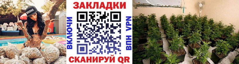 Где купить наркоту Шагонар Альфа ПВП  Меф мяу мяу  КОКАИН 