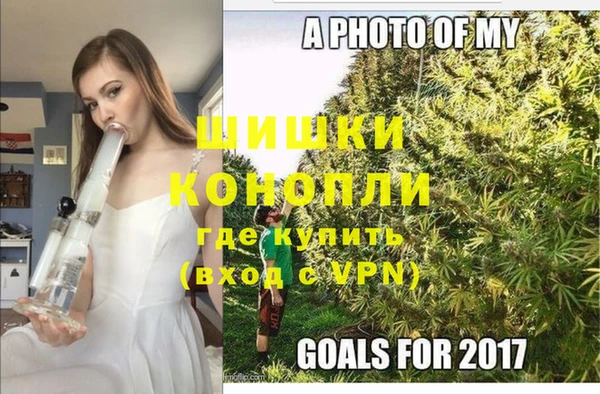 сатива Волосово