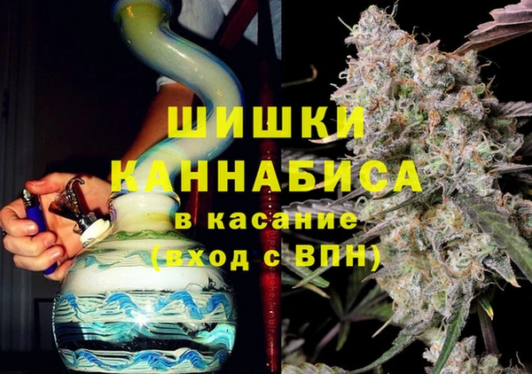 сатива Волосово