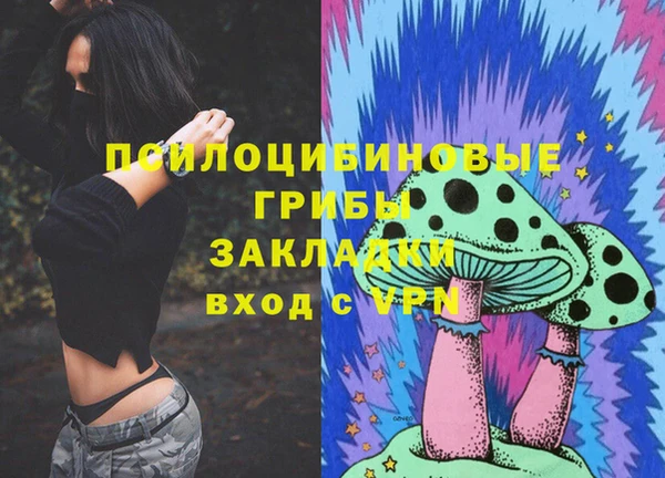 сатива Волосово