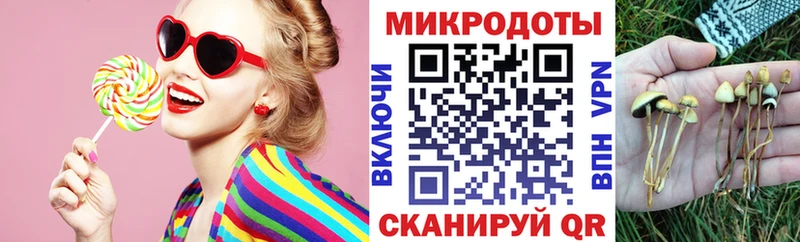 где можно купить наркотик  Шагонар  блэк спрут ссылка  Псилоцибиновые грибы GOLDEN TEACHER 